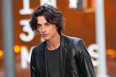 chanel commercial guy|chanel commercial with timothee chalamet.